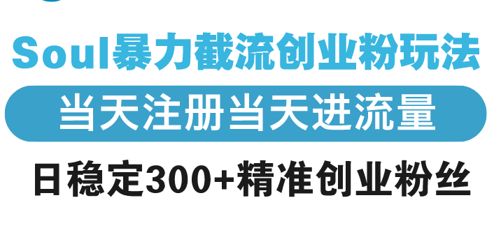 （13935期）Soul暴力截流创业粉玩法，当天注册当天进流量，日稳定300+精准创业粉丝-试验田