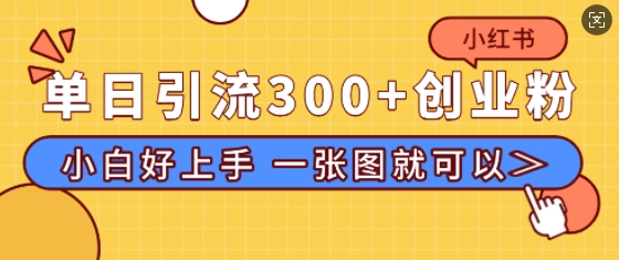 小红书单日引流300+创业粉，“简单粗暴”引流法，小白好上手，私信回不完-试验田