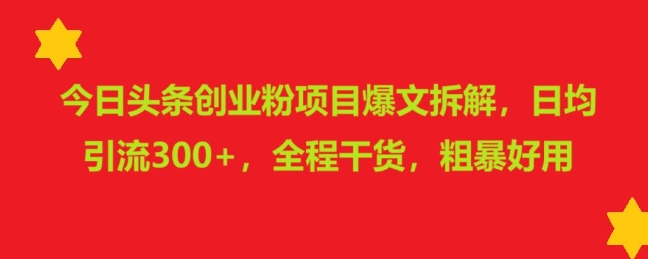 今日头条创业粉项目爆文拆解，日均引流300+，全程干货，粗暴好用-试验田