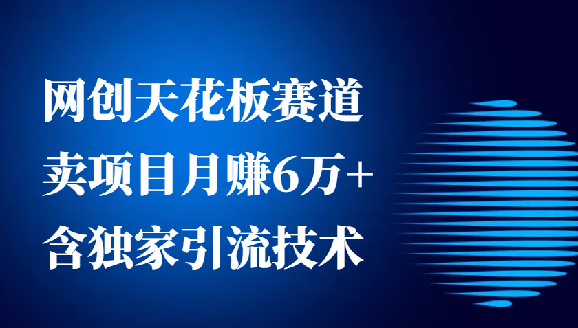 网创天花板赛道，卖项目月赚6万+，含独家引流技术（共26节课）-试验田