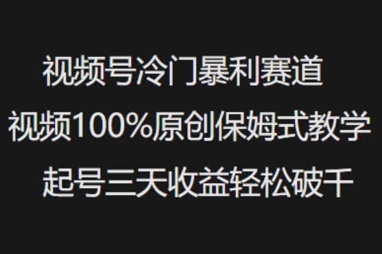 微信视频号小众爆利跑道短视频100%原创设计跟踪服务课堂教学养号三天盈利轻轻松松破千-中创网_分享创业资讯_网络项目资源-试验田