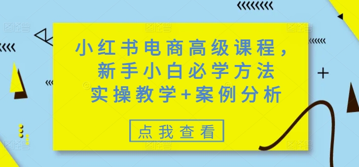 小红书电商高级课程，新手入门必会方式，实际操作课堂教学 经典案例-中创网_分享创业资讯_网络项目资源-试验田