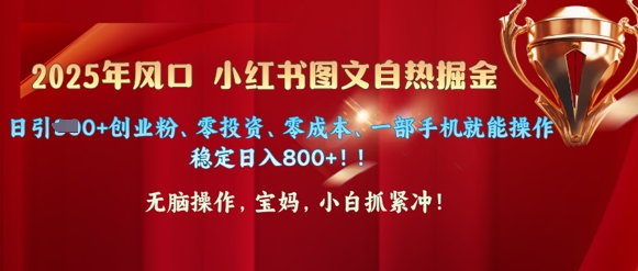 25年出风口小红书的图文并茂掘金队，日引300 自主创业粉、零投资、零成本、一部手机就能实际操作-中创网_分享创业资讯_网络项目资源-试验田